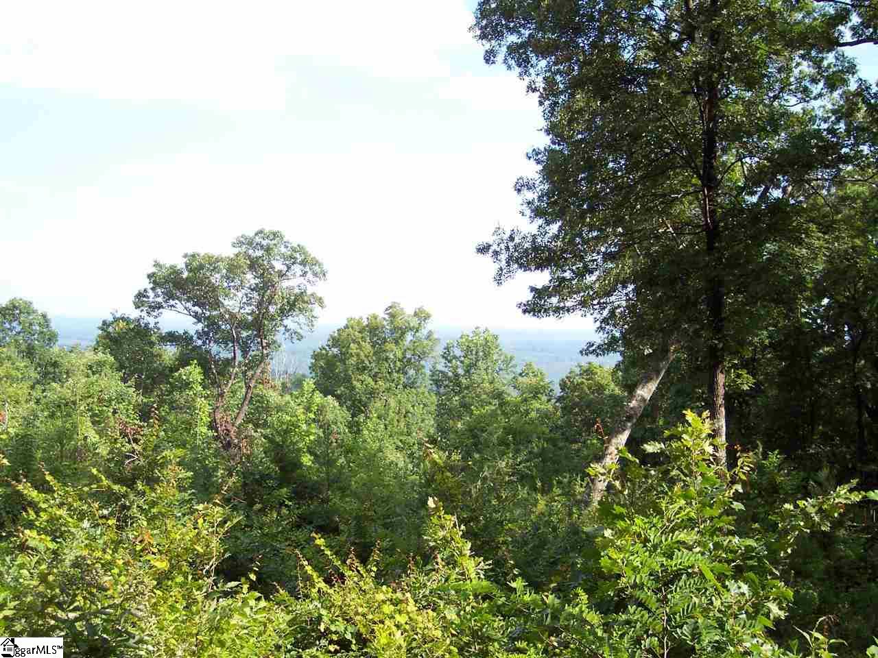 8 Woods Pond Court Cleveland, SC 29635 - Photo 15 of 20