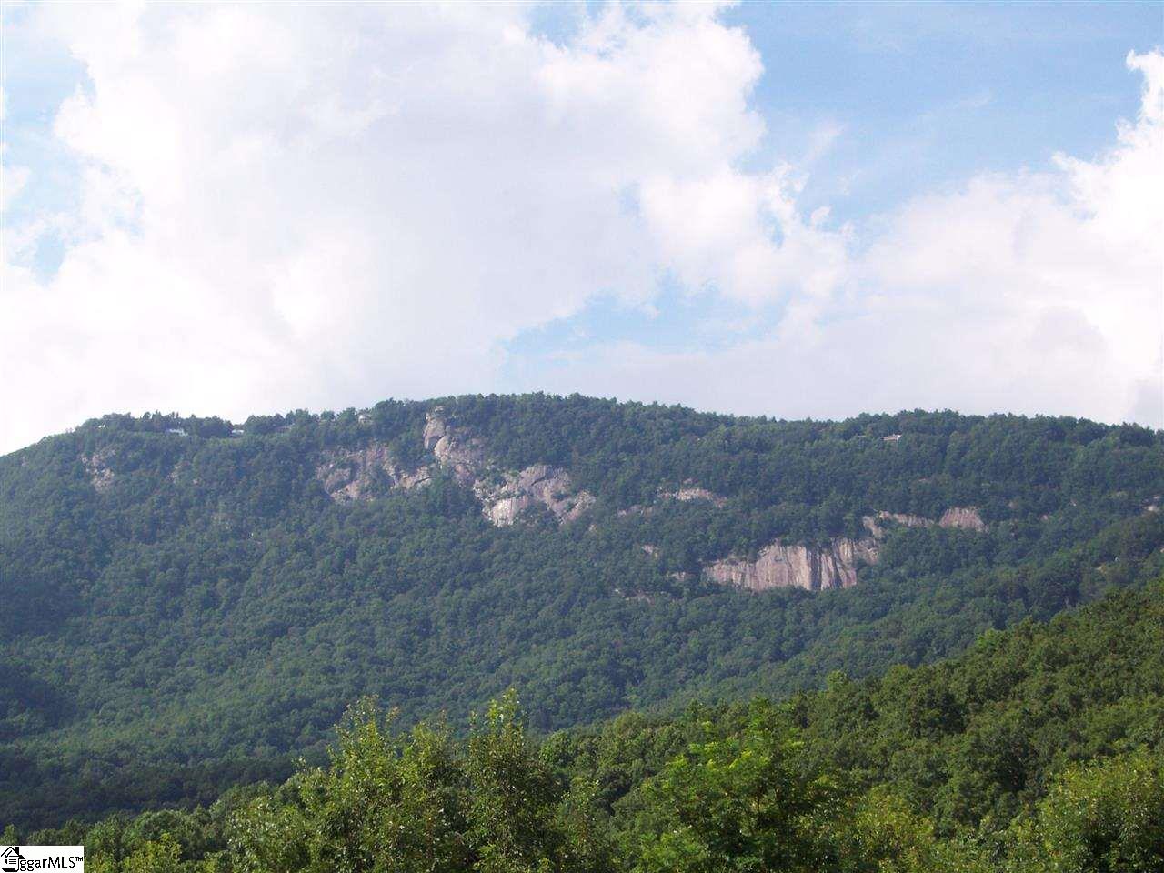 8 Woods Pond Court Cleveland, SC 29635 - Photo 17 of 20