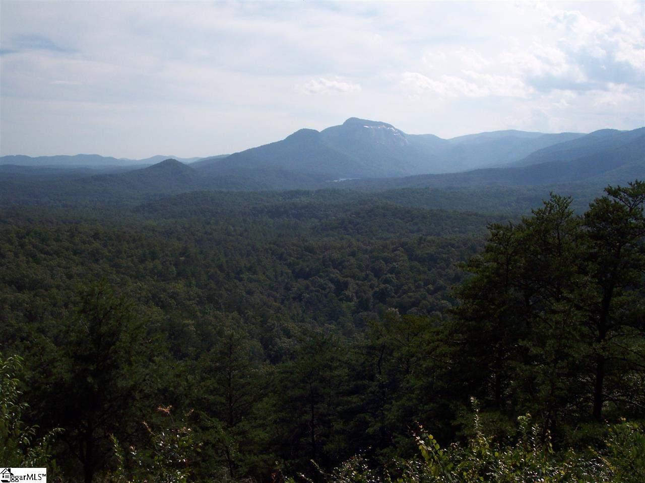 8 Woods Pond Court Cleveland, SC 29635 - Photo 18 of 20