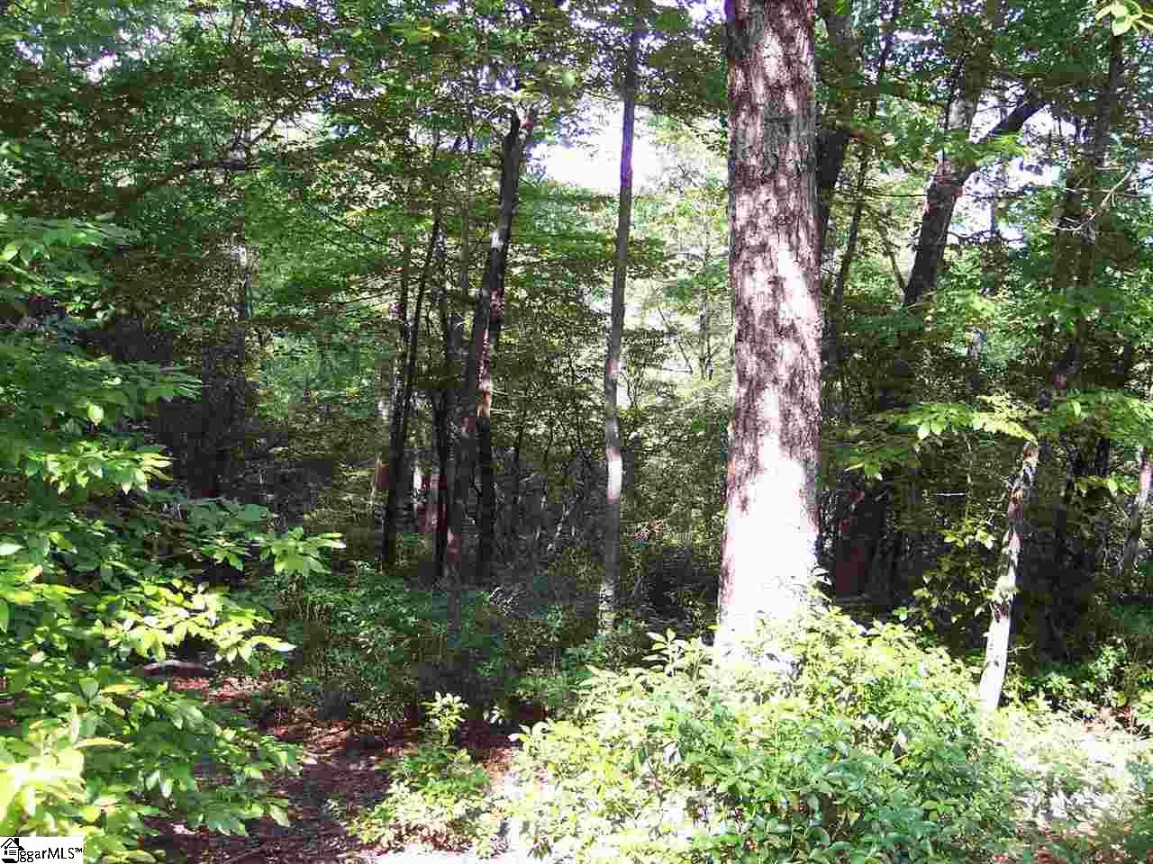 8 Woods Pond Court Cleveland, SC 29635 - Photo 6 of 20