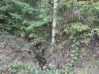 0 French Peak Road, Unit 405 Cave Junction, OR 97523 - Photo 5 of 6 property is hillside -slope- level