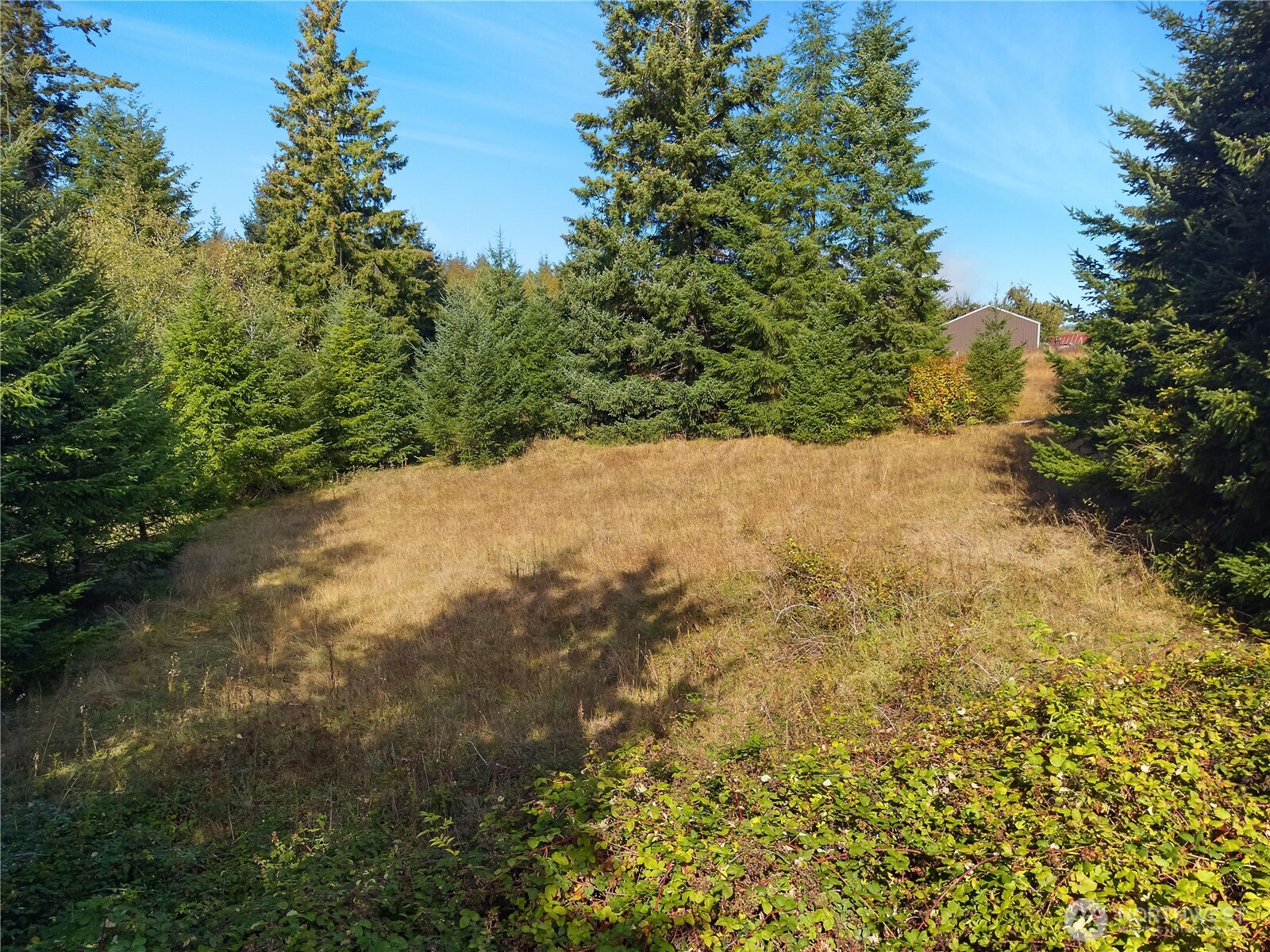 0 Rogers Road, Unit 2 Kalama, WA 98625 - Photo 3 of 9 a view of a yard with a tree