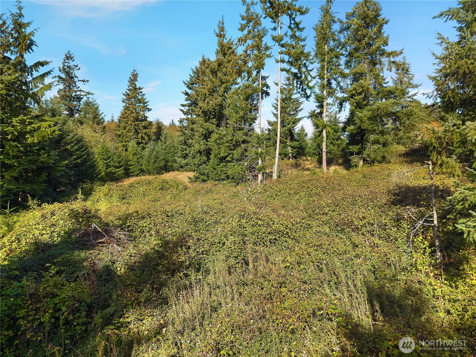 0 Rogers Road, Unit 2 Kalama, WA 98625 - Photo 4 of 9 a view of outdoor space and trees