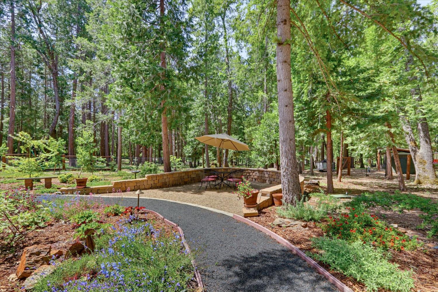 14166 Loma Rica Drive Grass Valley, CA 95945 - Photo 50 of 95