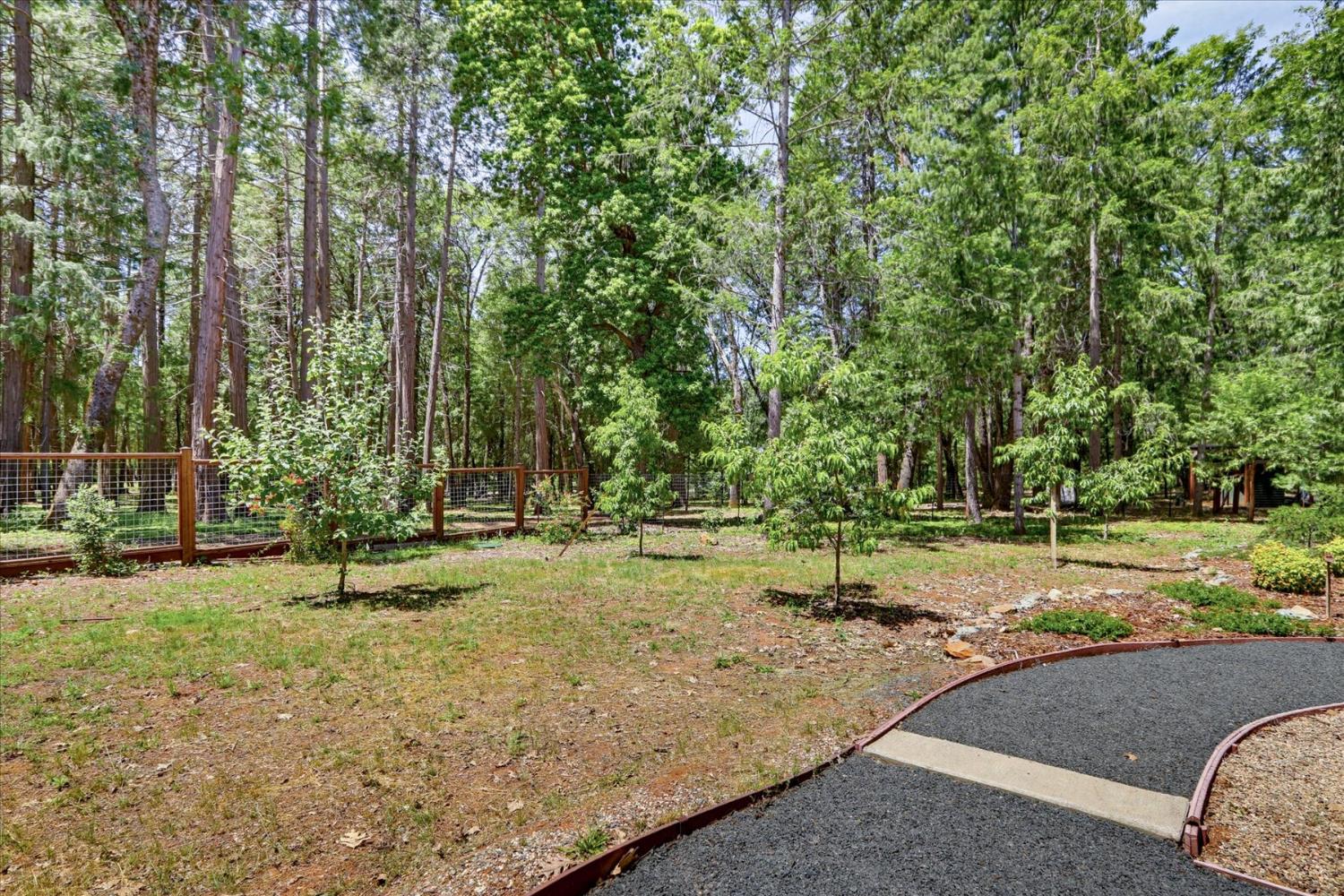 14166 Loma Rica Drive Grass Valley, CA 95945 - Photo 57 of 95