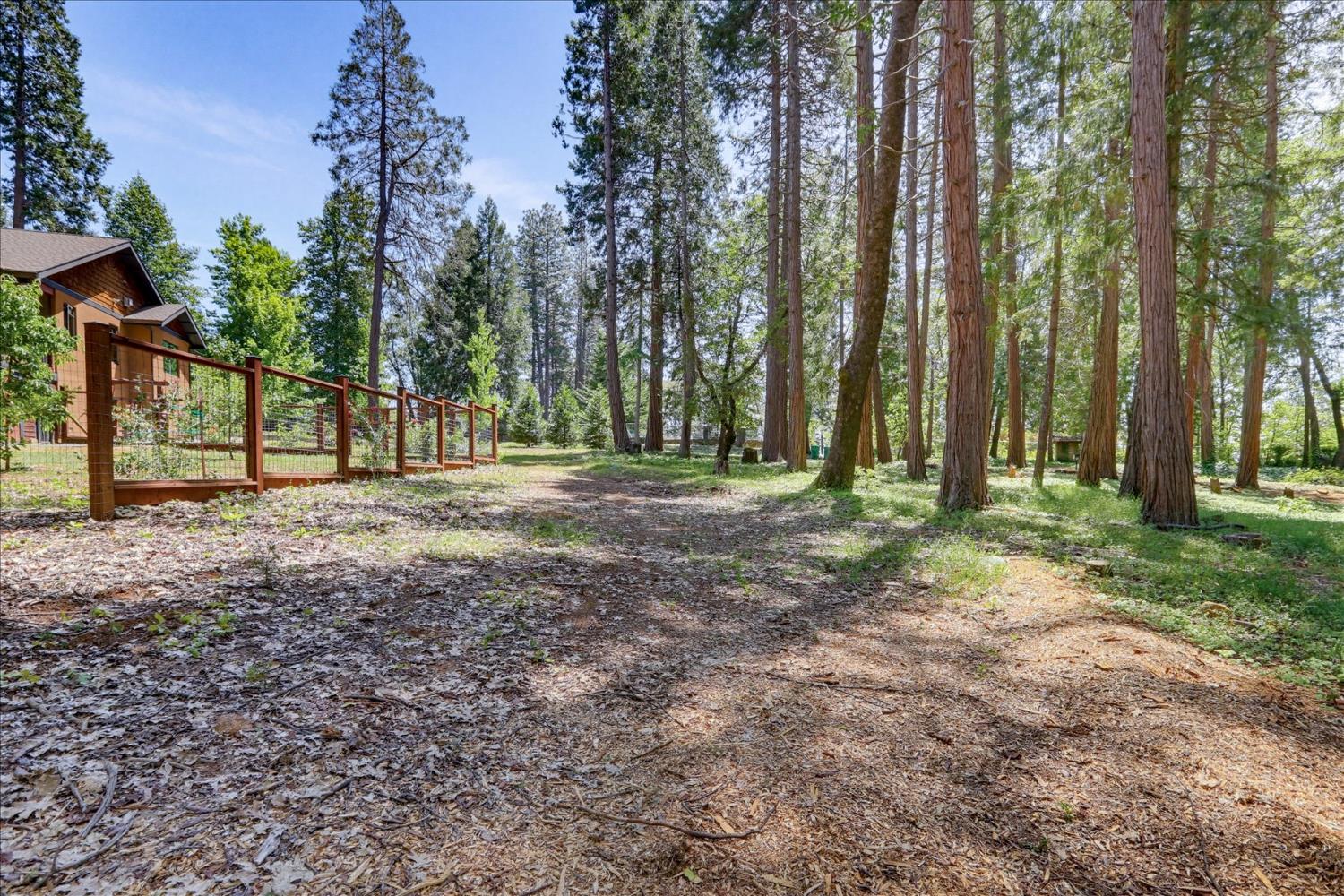 14166 Loma Rica Drive Grass Valley, CA 95945 - Photo 63 of 95