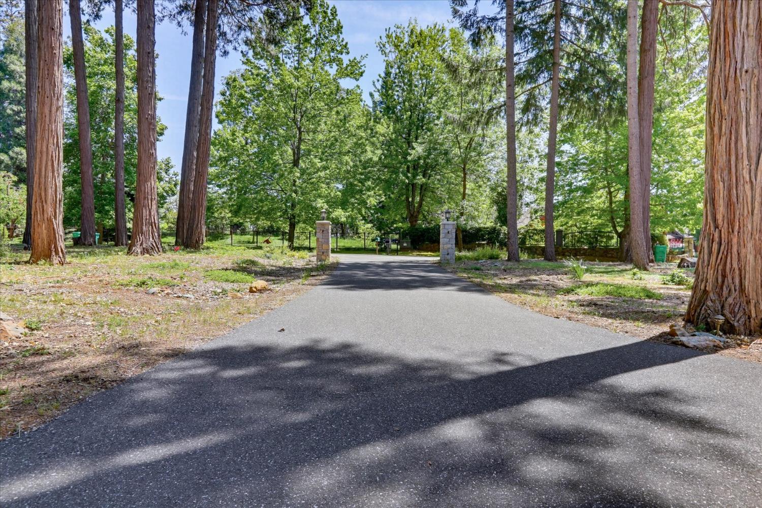 14166 Loma Rica Drive Grass Valley, CA 95945 - Photo 66 of 95