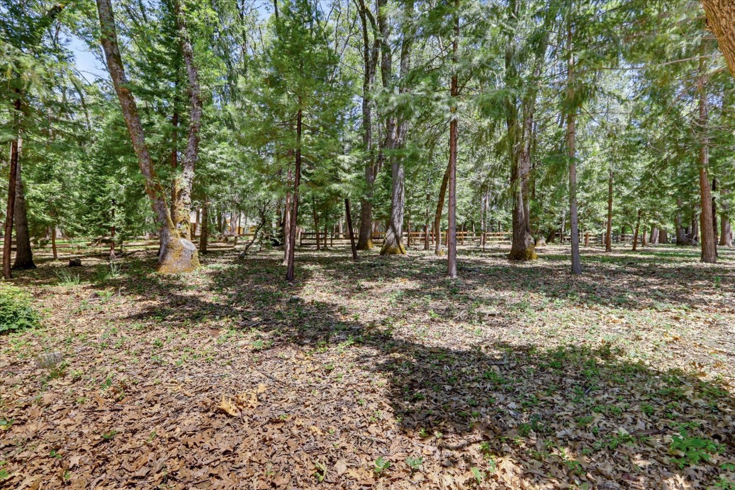 14166 Loma Rica Drive Grass Valley, CA 95945 - Photo 69 of 95