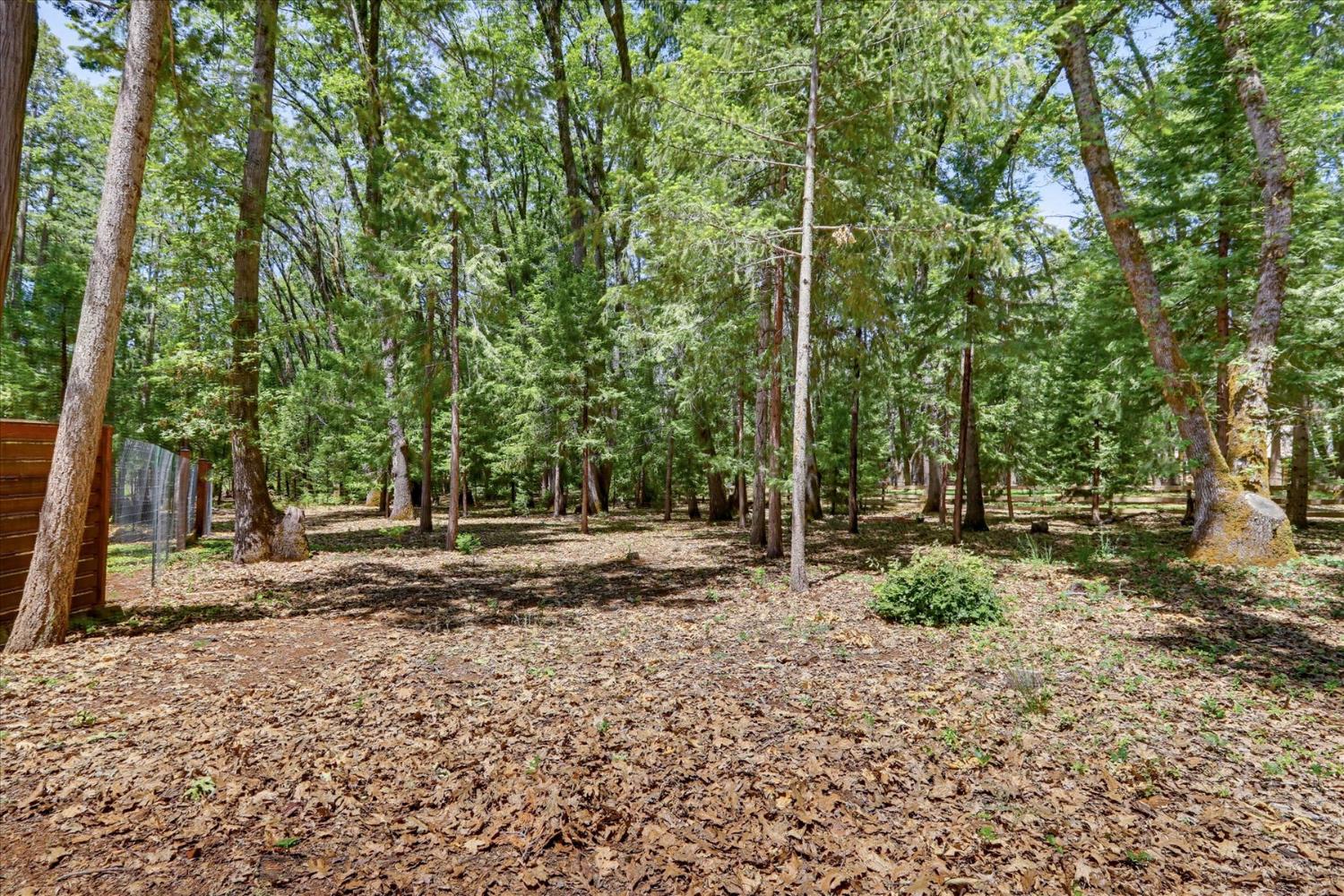 14166 Loma Rica Drive Grass Valley, CA 95945 - Photo 70 of 95