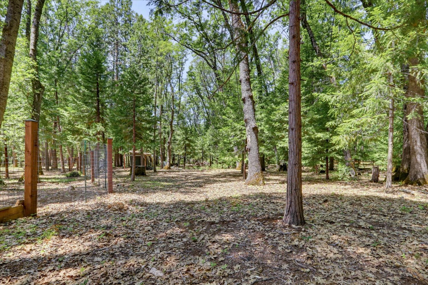 14166 Loma Rica Drive Grass Valley, CA 95945 - Photo 71 of 95