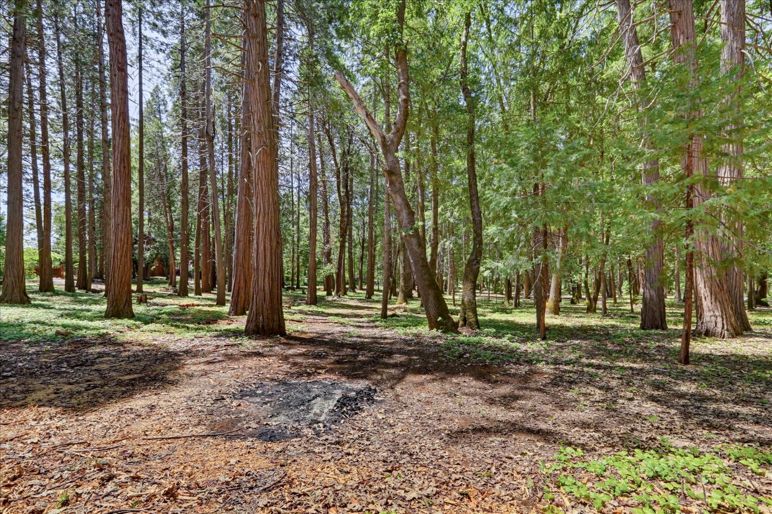 14166 Loma Rica Drive Grass Valley, CA 95945 - Photo 72 of 95