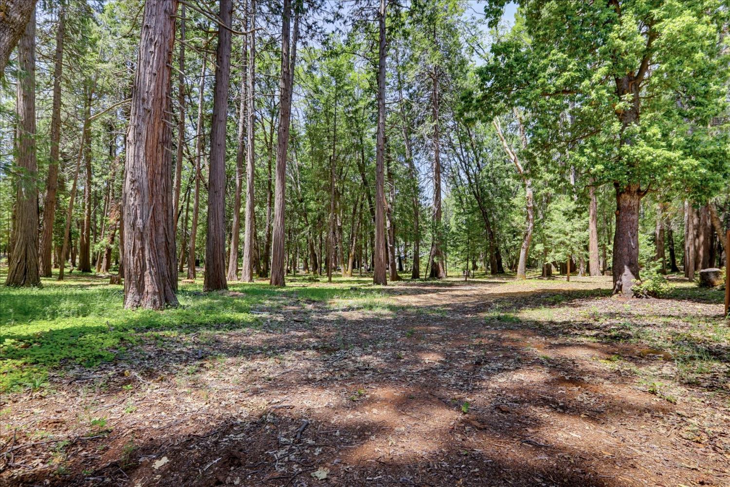 14166 Loma Rica Drive Grass Valley, CA 95945 - Photo 73 of 95