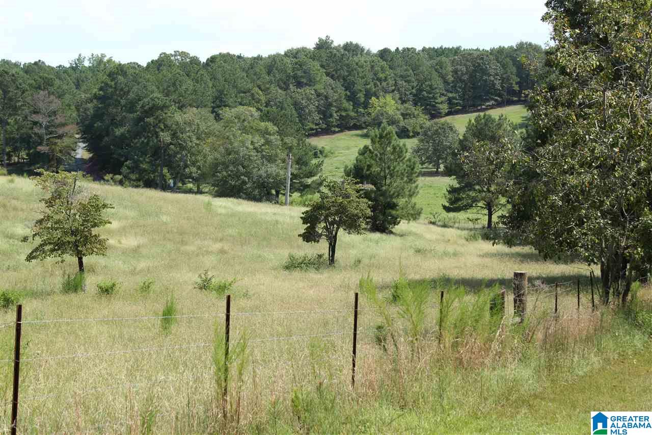 2020 Church Road, Unit 1 Pell City, AL 35128 - Photo 1 of 6