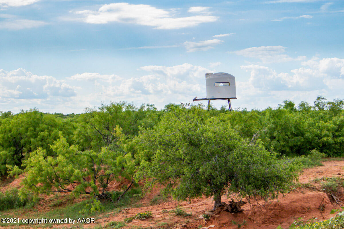Ol' Glory Ranch Matador, TX 79244 - Photo 16 of 59 a view of a bunch of trees and a lake view