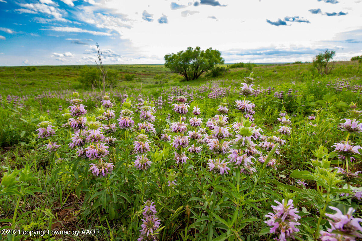 Ol' Glory Ranch Matador, TX 79244 - Photo 21 of 59 a view of a lake