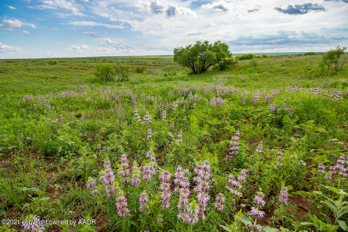 Ol' Glory Ranch Matador, TX 79244 - Photo 24 of 59 a view of a green field