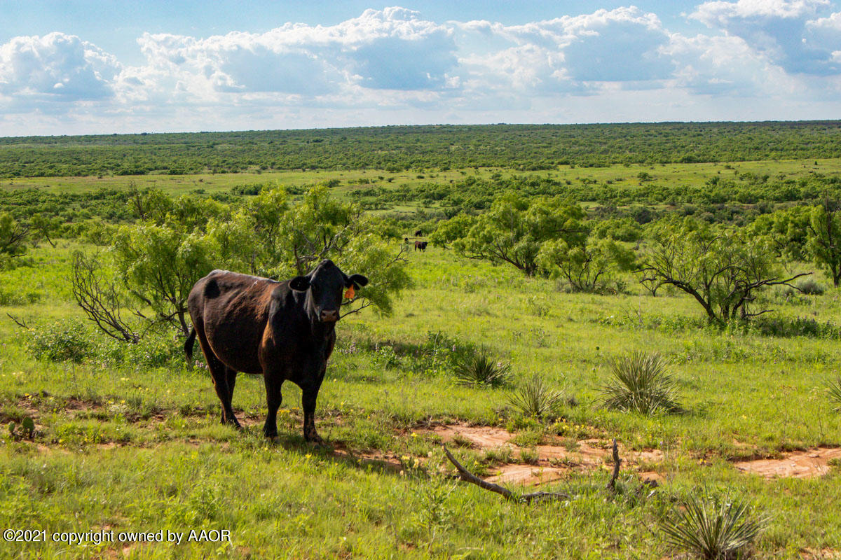 Ol' Glory Ranch Matador, TX 79244 - Photo 31 of 59 a view of a lake from a yard