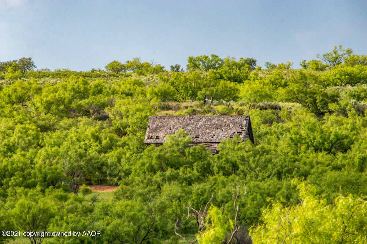 Ol' Glory Ranch Matador, TX 79244 - Photo 44 of 59 a view of a bunch of plants and trees