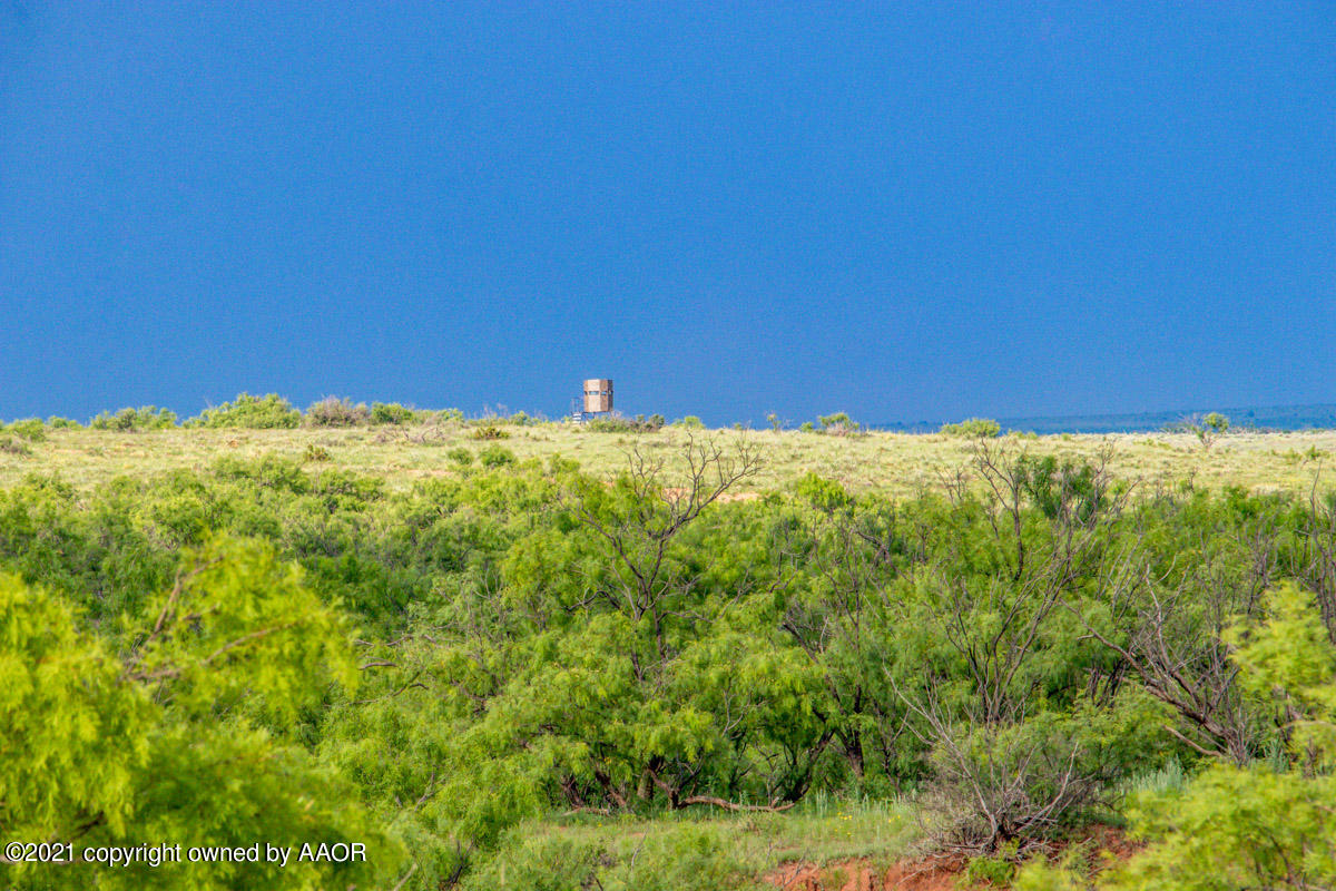 Ol' Glory Ranch Matador, TX 79244 - Photo 45 of 59 042-Ol_Glory_New_Pics