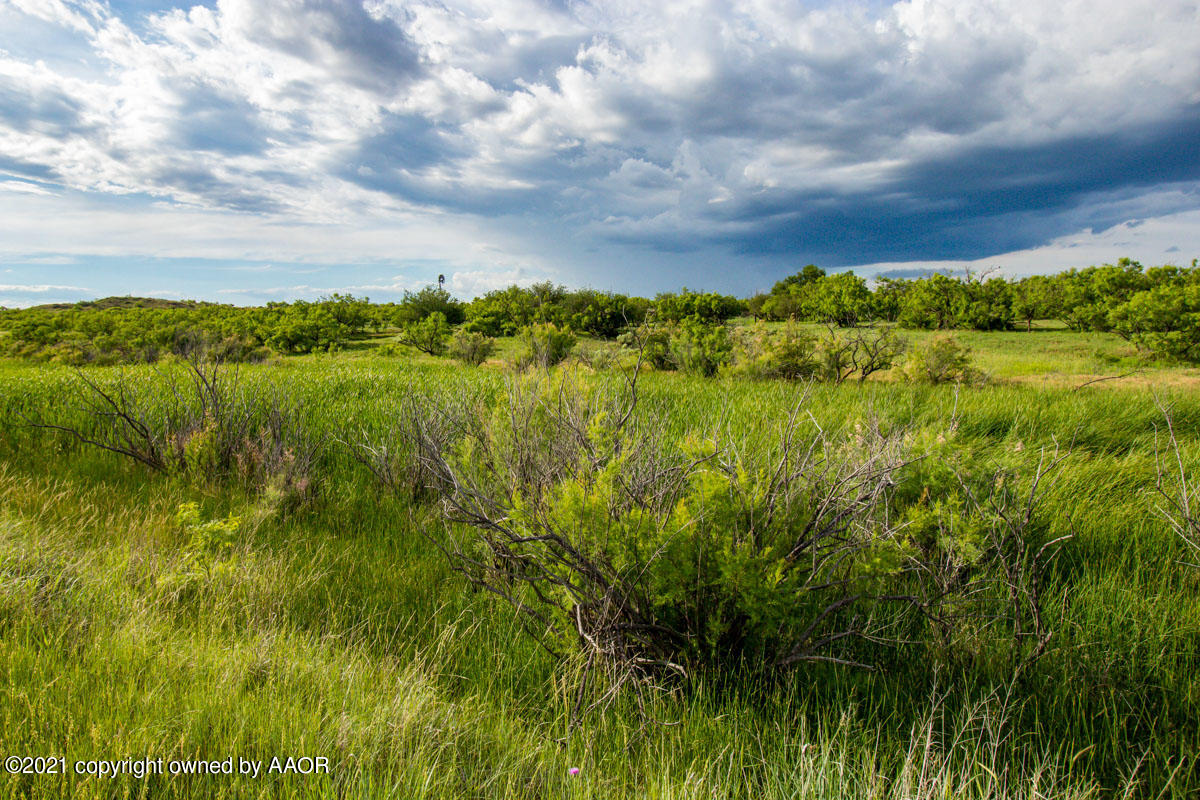 Ol' Glory Ranch Matador, TX 79244 - Photo 47 of 59 a view of a green yard