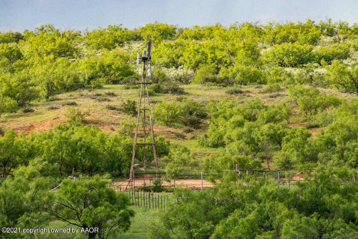 Ol' Glory Ranch Matador, TX 79244 - Photo 49 of 59 a view of a big yard with lots of bushes