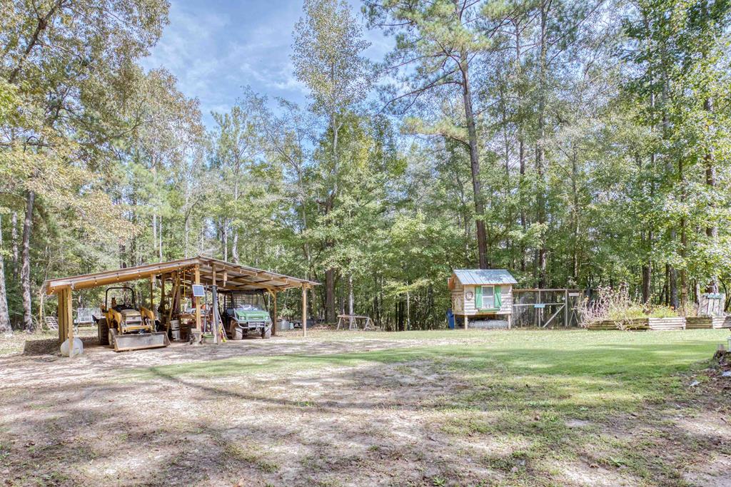 10925 County Line Road Midland, GA 31820 - Photo 48 of 50