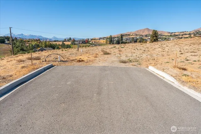 an aerial view of residential houses and trees in the background