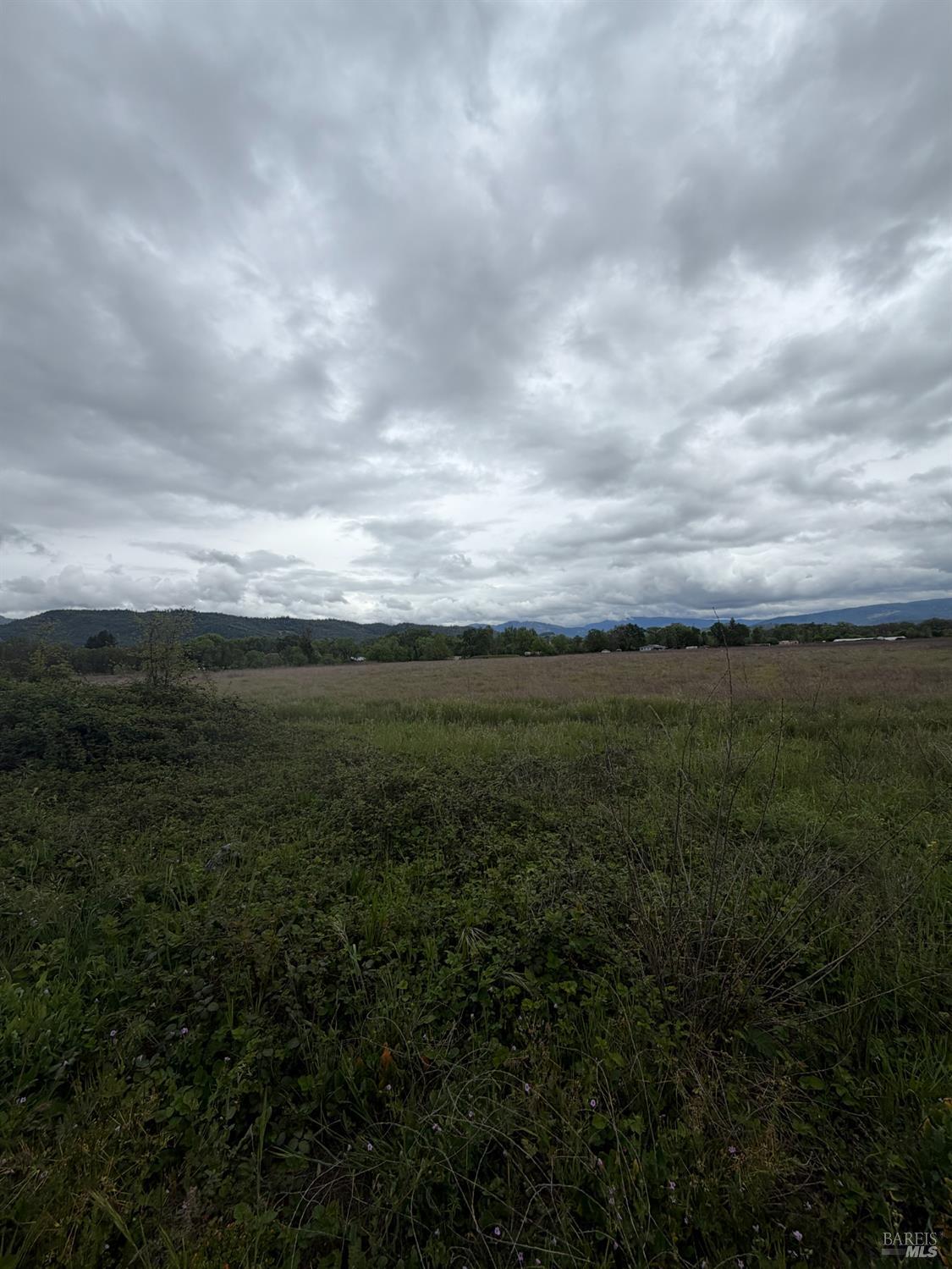 77685 Crawford Road Covelo, CA 95428 - Photo 4 of 13