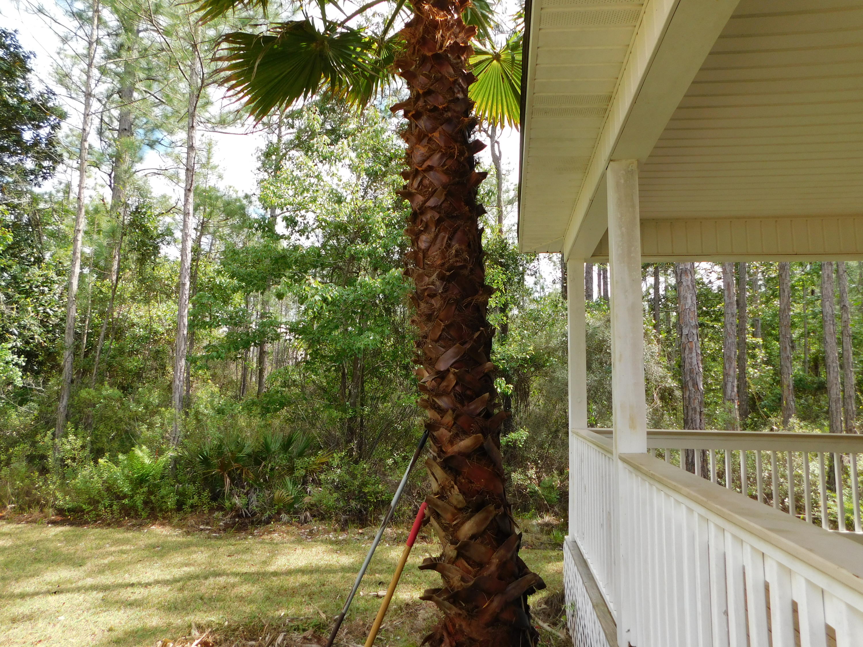 22 Central 8th Street Santa Rosa Beach, FL 32459 - Photo 85 of 100 Gallery Image 85