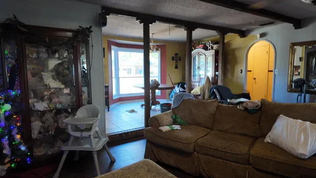 a living room with furniture and a potted plant