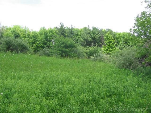 Tbd Burns Line Croswell, MI 48422 - Photo 12 of 19