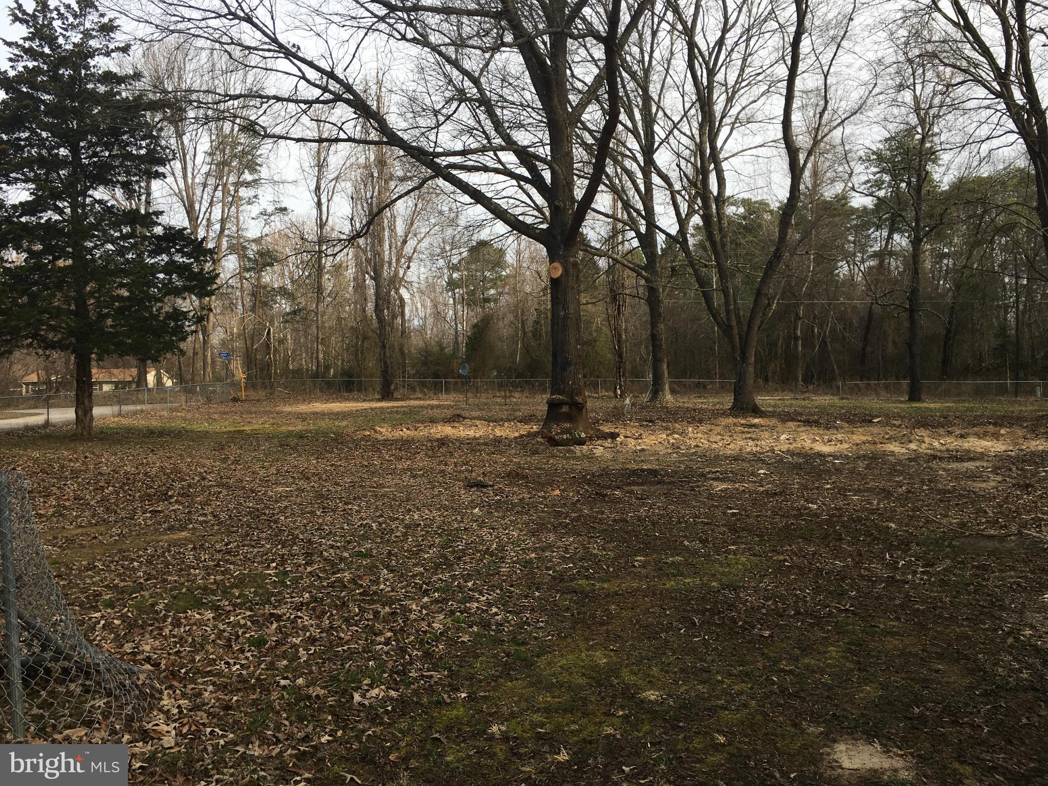 13228 Johnson Road King George, VA 22485 - Photo 1 of 18 a view of outdoor space with trees