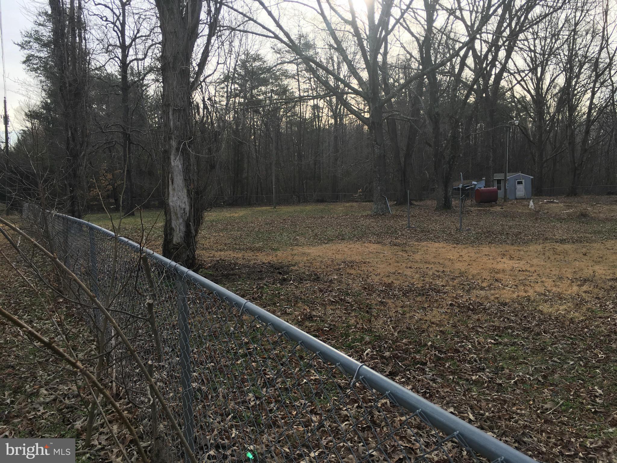 13228 Johnson Road King George, VA 22485 - Photo 3 of 18 a view of a backyard with large trees