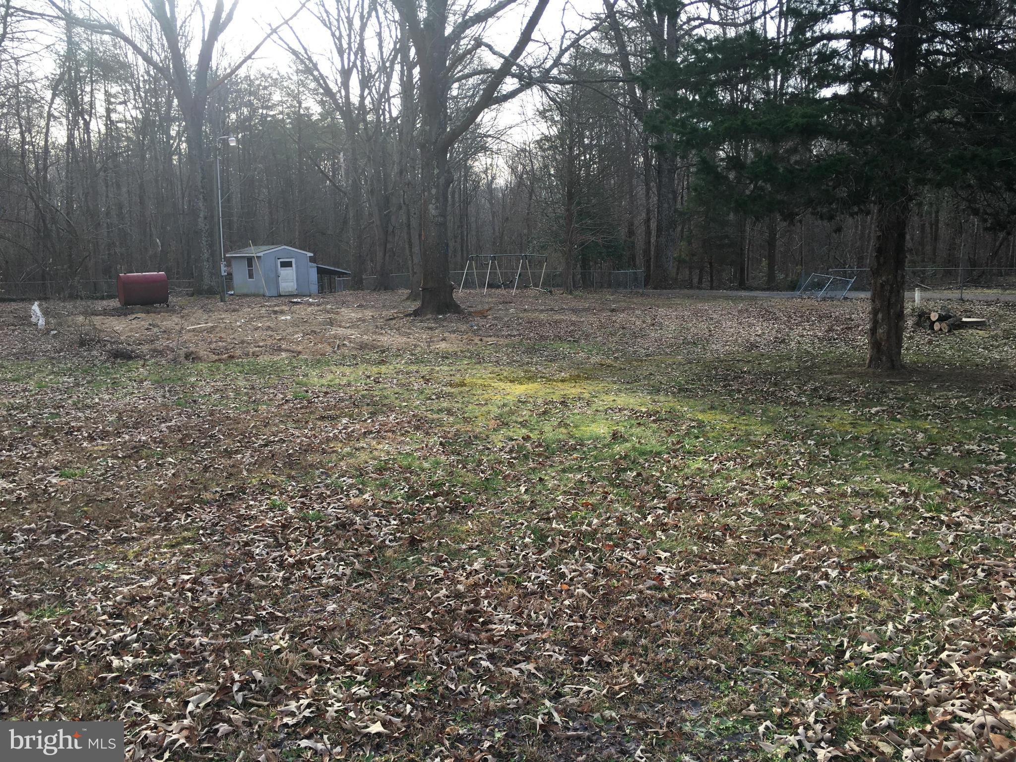 13228 Johnson Road King George, VA 22485 - Photo 5 of 18 a view of a backyard with trees