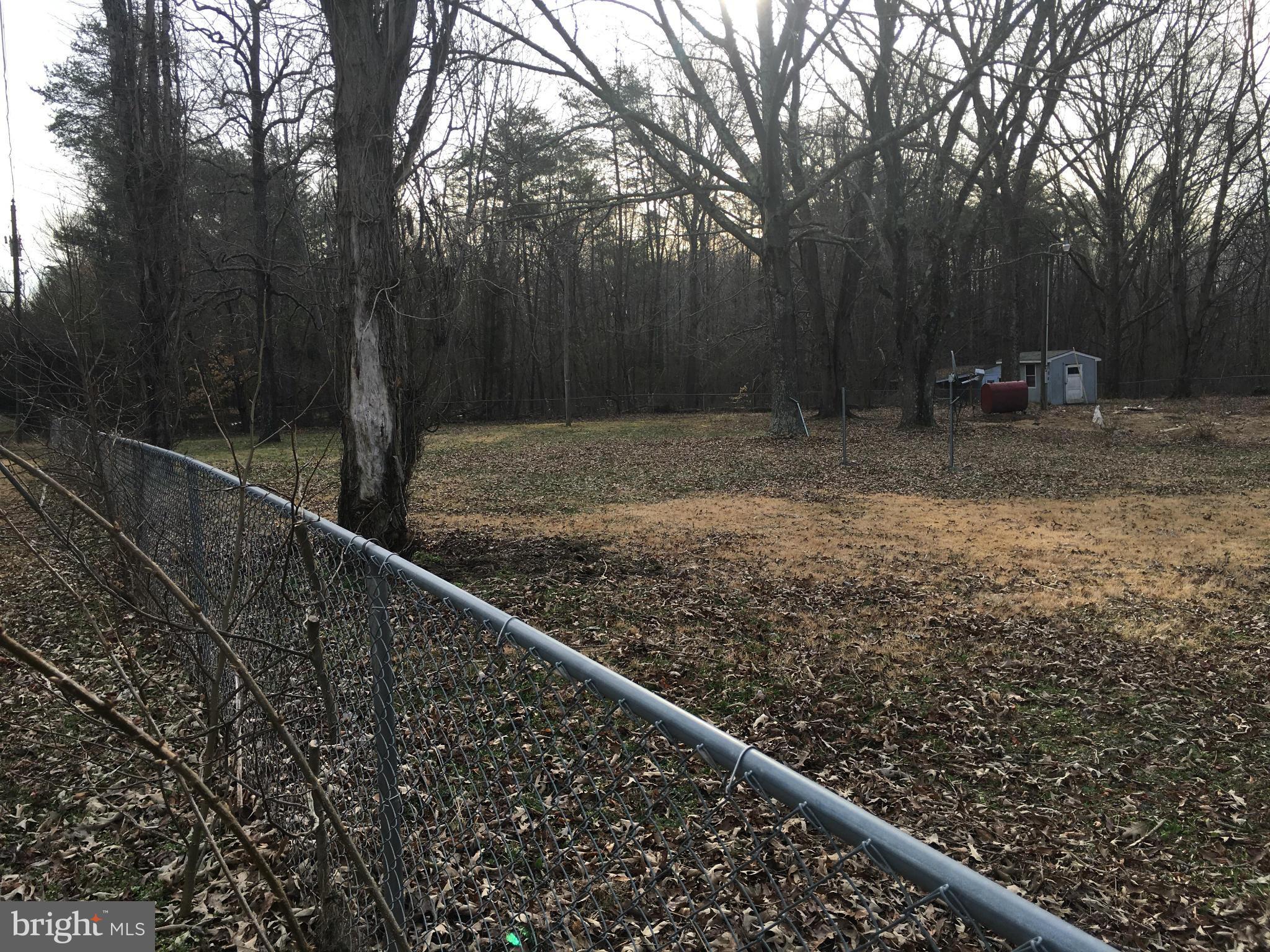 13228 Johnson Road King George, VA 22485 - Photo 9 of 18 a view of a backyard with large trees