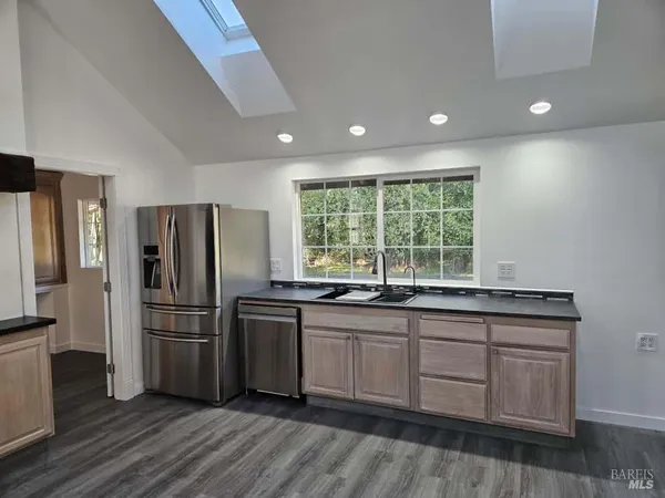 a view of a yard with plants and trees