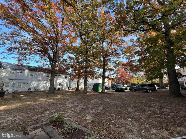 a view of road view with large trees