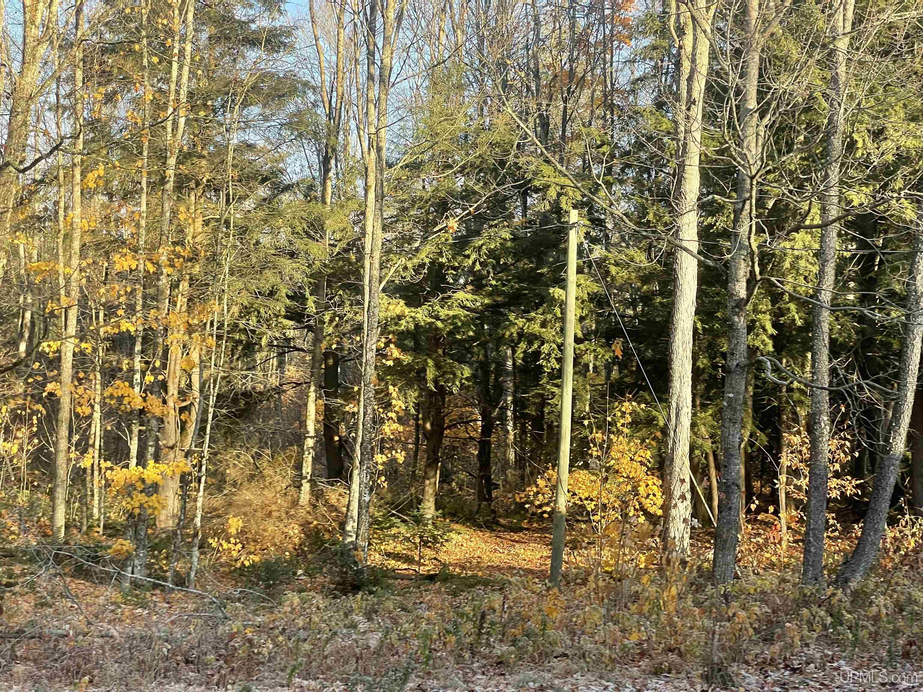 E6875 Wildwood Road Munising, MI 49862 - Photo 6 of 31 Gallery Image 6