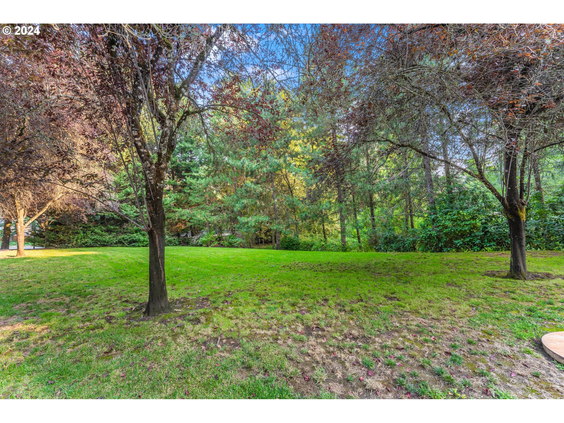 8414 Southwest Oleson Road Portland, OR 97223 - Photo 34 of 38 Yard