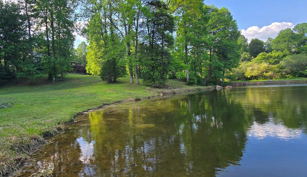 3800 Cutcane Road Mineral Bluff, GA 30559 - Photo 64 of 68 a view of a lake