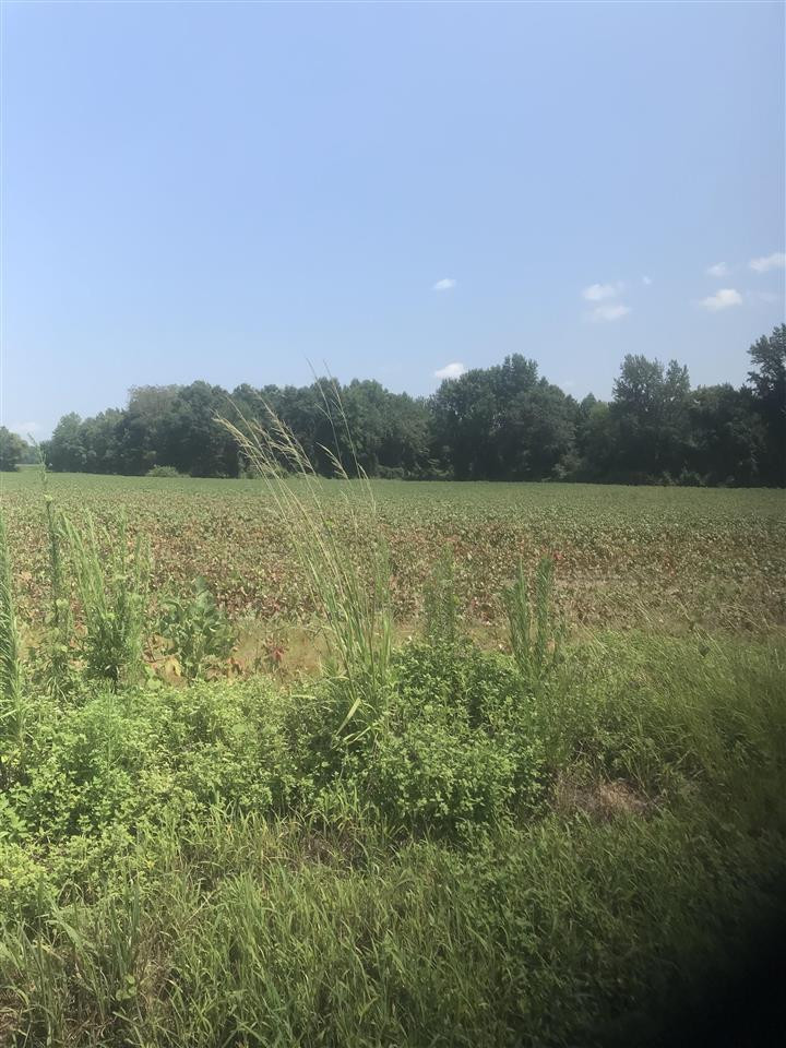 North Fairground Road Dunn, NC 28334 - Photo 2 of 3 Photo 2