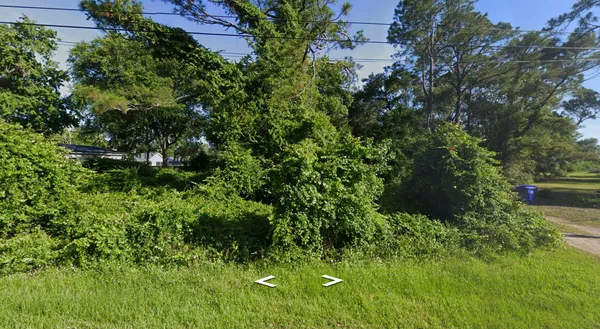 a view of a garden