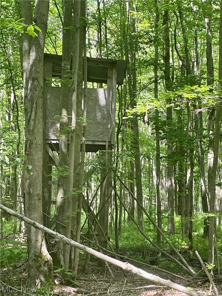 Schramling Road Pierpont, OH 44082 - Photo 11 of 13 Gallery Image 11