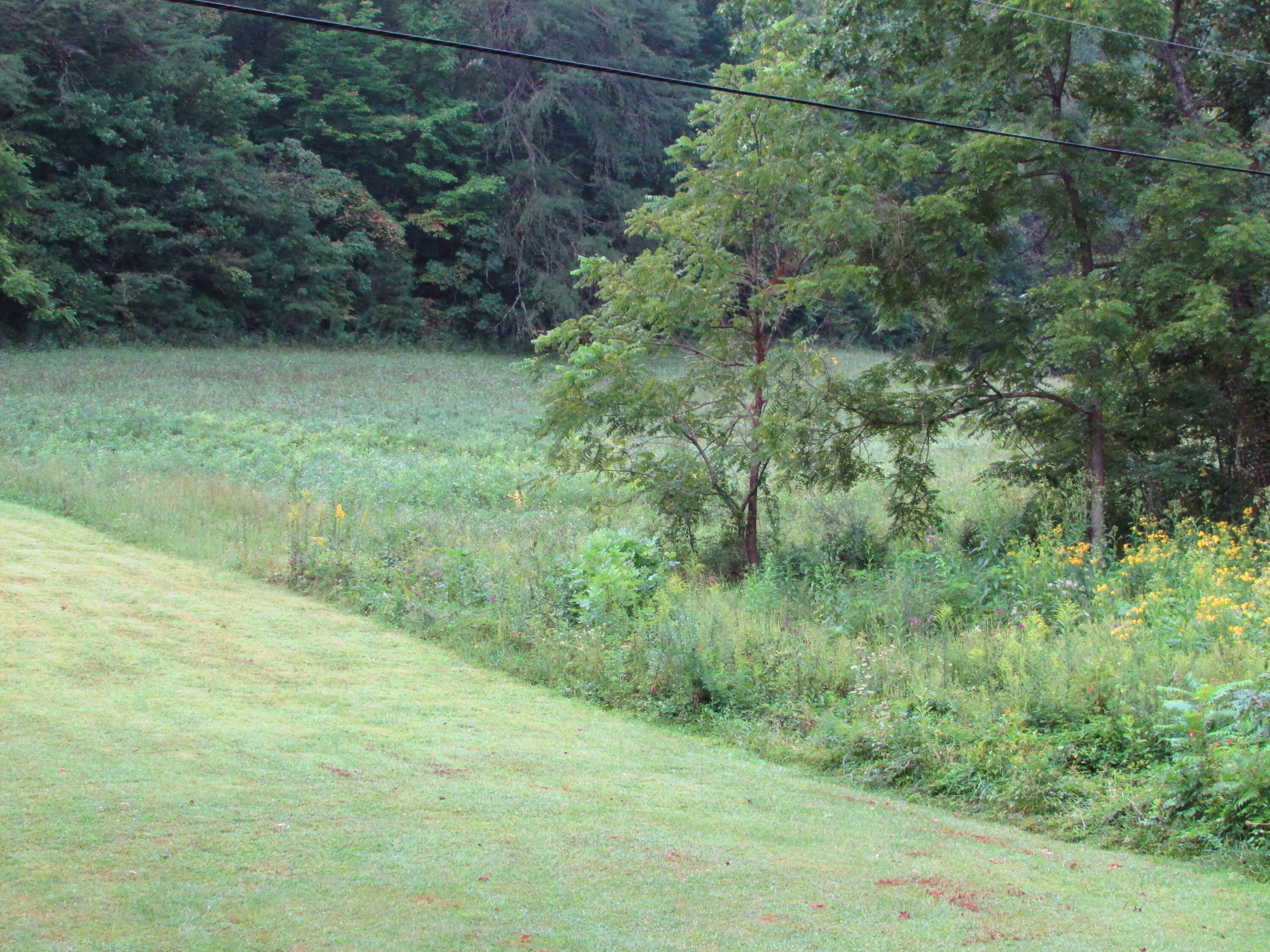 minton hollow rd elizabethton tn 37643 (