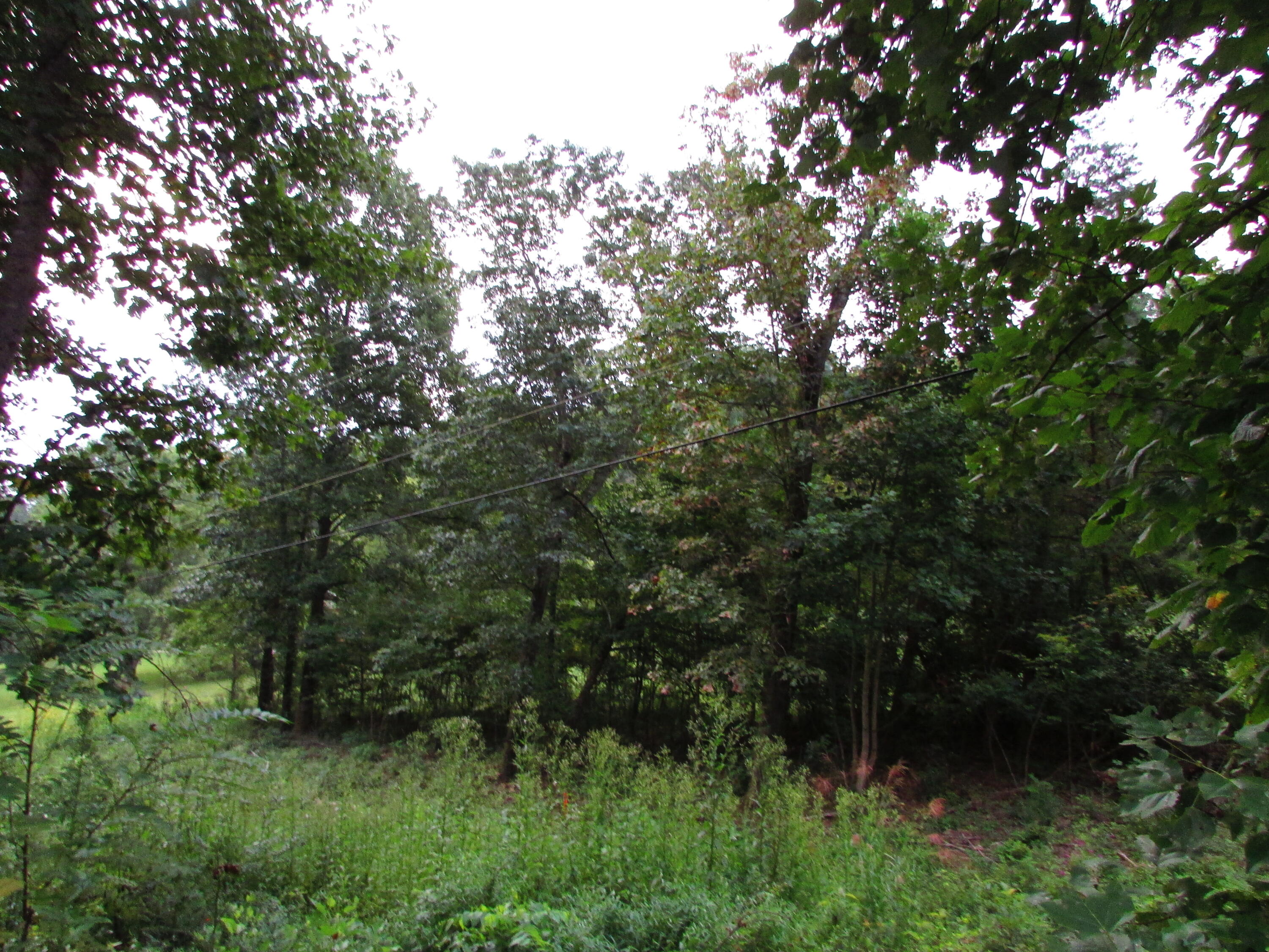 minton hollow rd elizabethton tn 37643 (