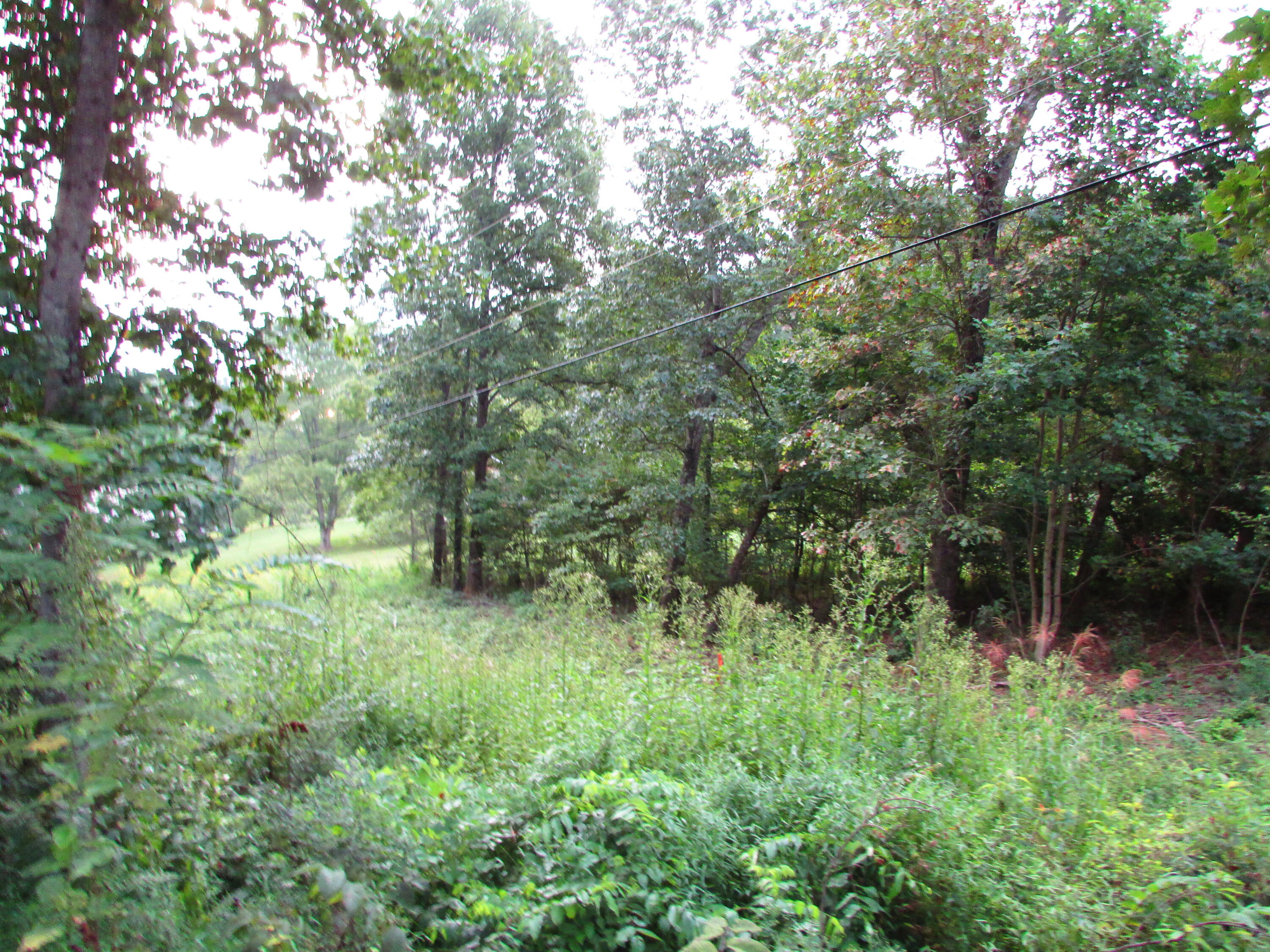 minton hollow rd elizabethton tn 37643 (