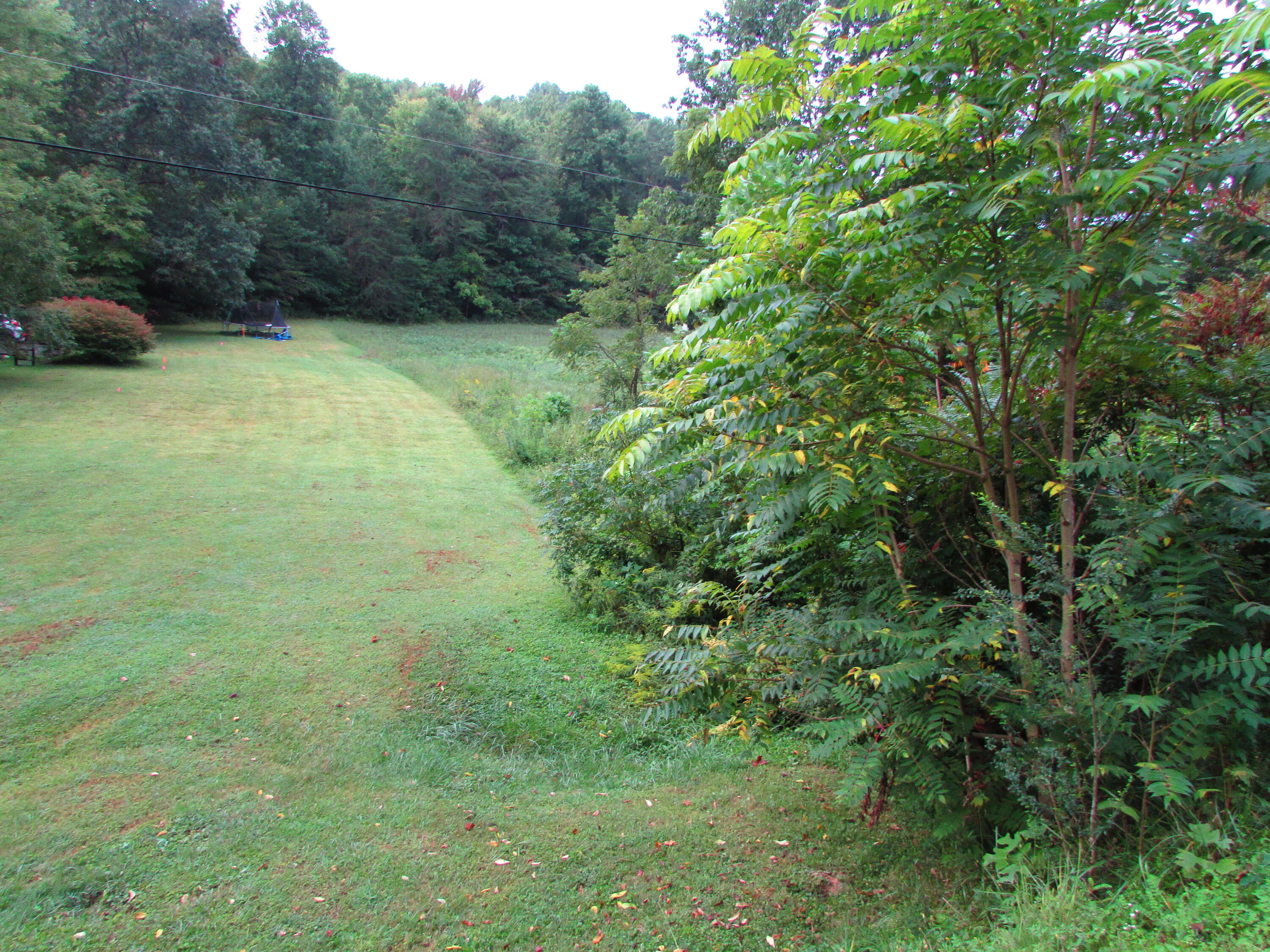 minton hollow rd elizabethton tn 37643 (
