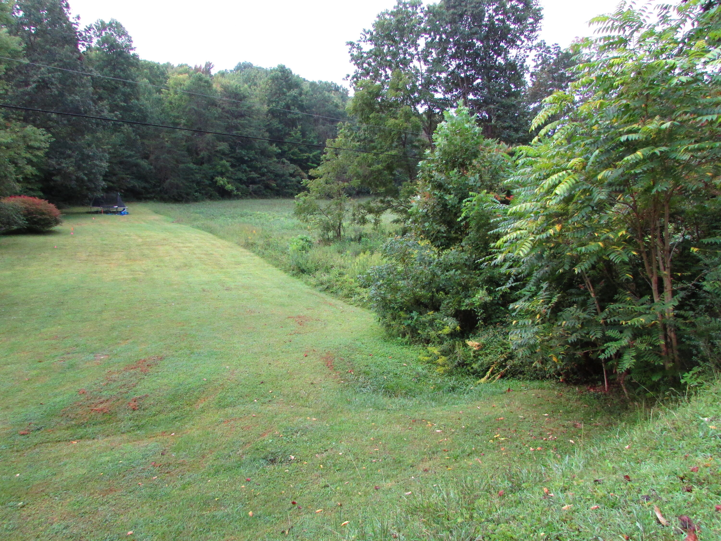 minton hollow rd elizabethton tn 37643 (
