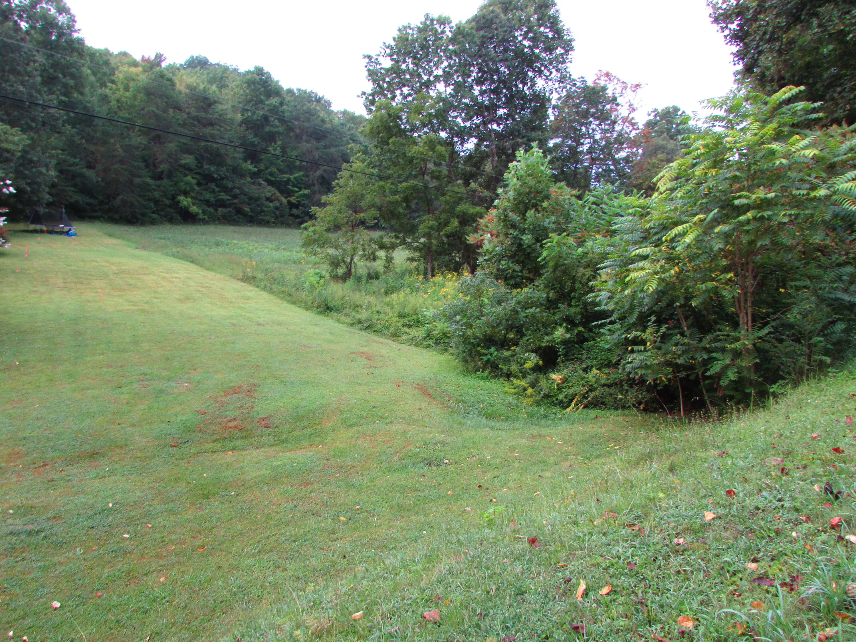 minton hollow rd elizabethton tn 37643 (