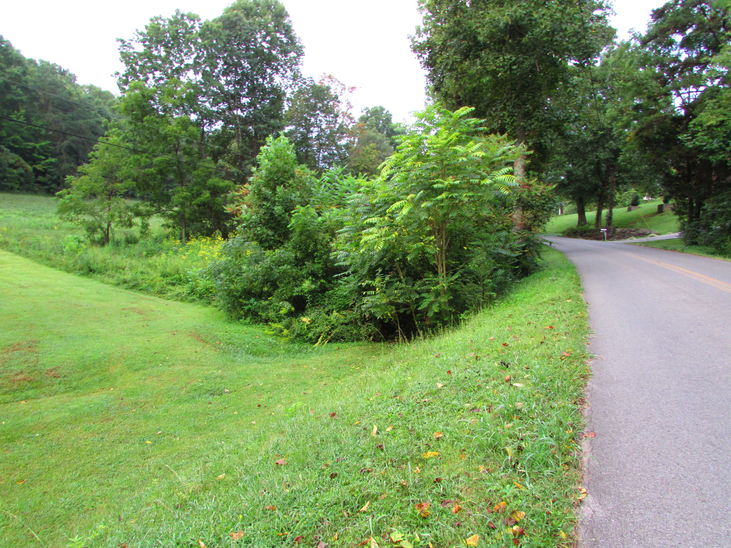 2 Minton Hollow Road Elizabethton, TN 37643 - Photo 8 of 8 minton hollow rd elizabethton tn 37643 (